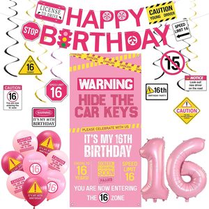 Aldernest Pink 16th Birthday Decorations Girls, Hide The Car Keys Banner
