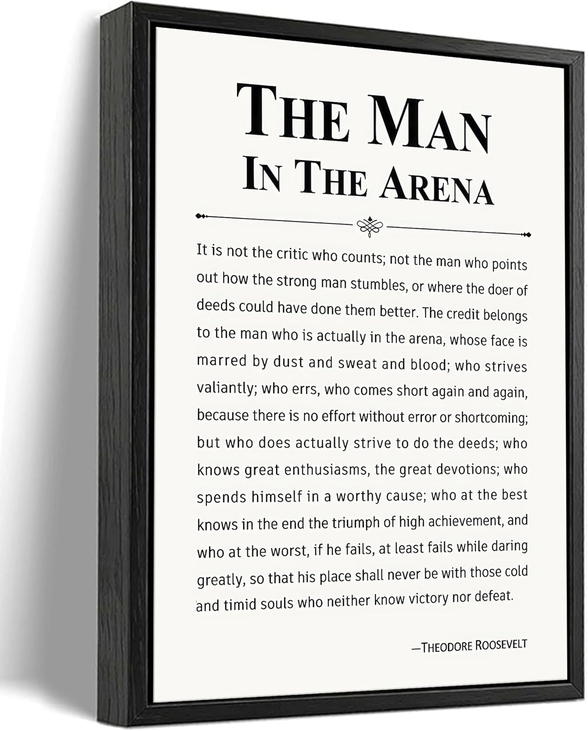 Aldernest Floating Framed The Man In The Arena Inspirational Quote Canvas Wall Art, 16"L x 12"W