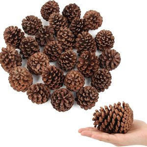 Ashenby 25 Pcs Large Natural Pine Cones Bulk for Crafts & Christmas Decor, 1.98 pounds