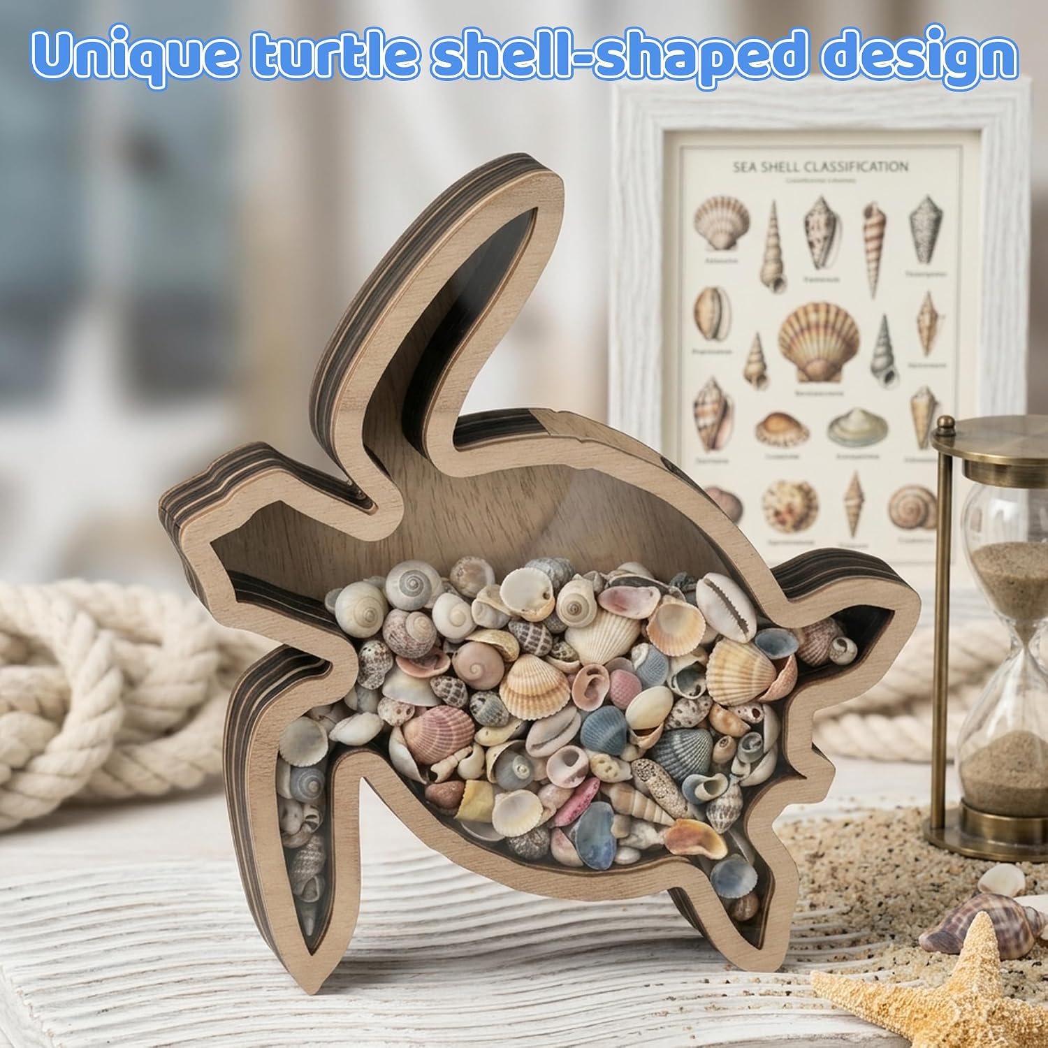 Aldernest Wooden Turtle Shell Collection Box with Clear Acrylic Window, Light brown