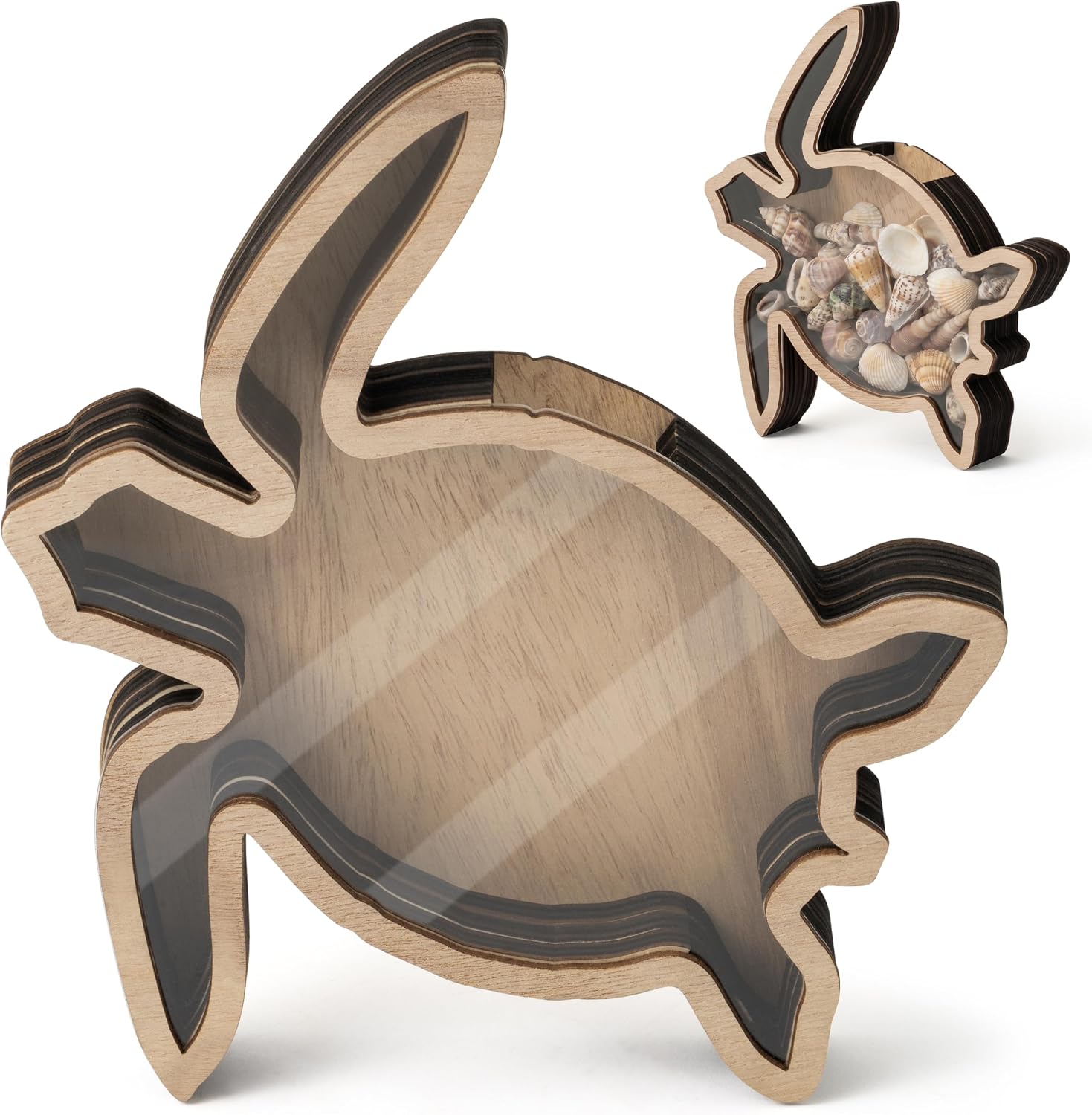 Aldernest Wooden Turtle Shell Collection Box with Clear Acrylic Window, Light brown