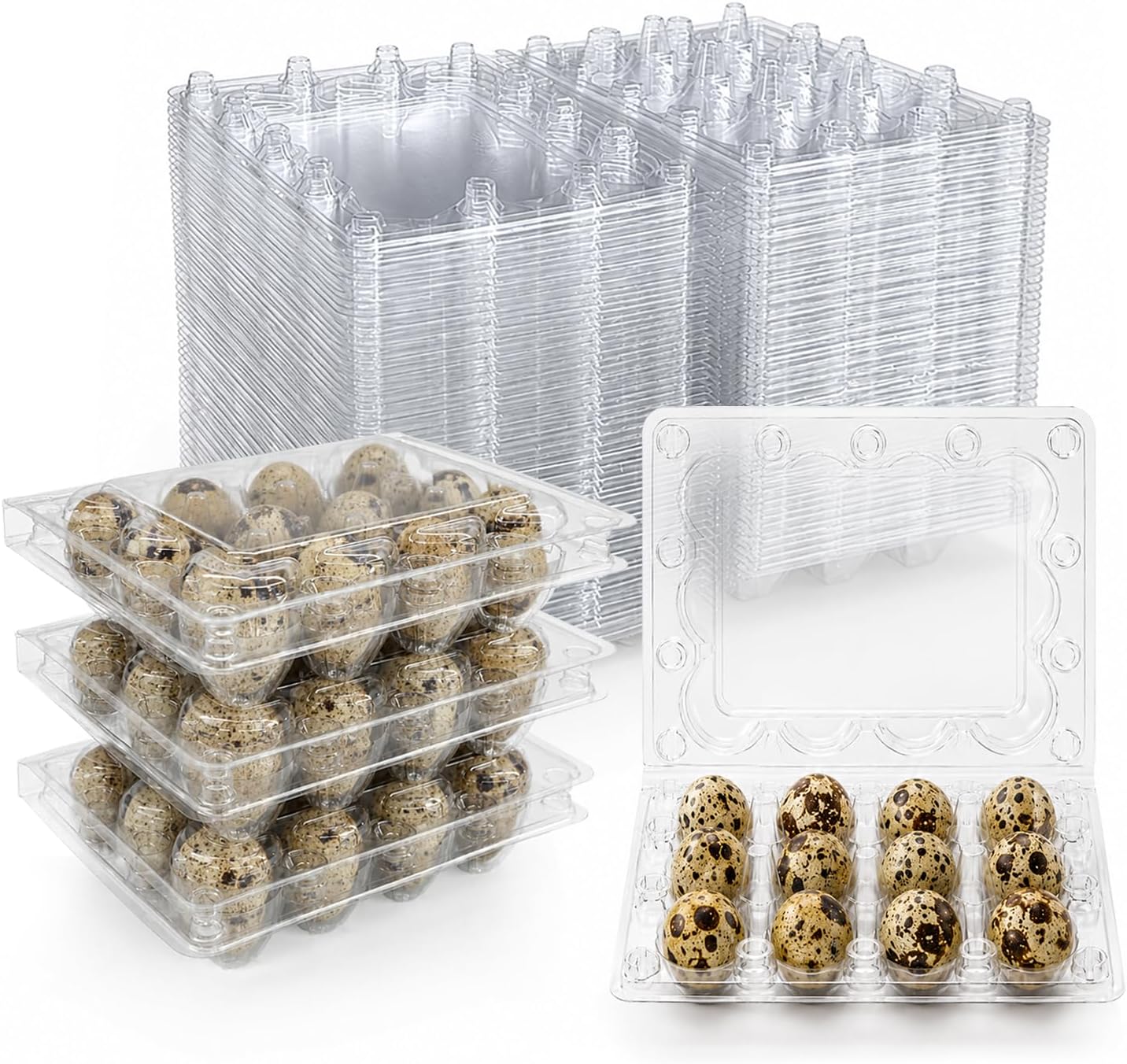 Aldernest 60 Pack Plastic Quail Egg Cartons 12 Count Small Egg Container, Clear