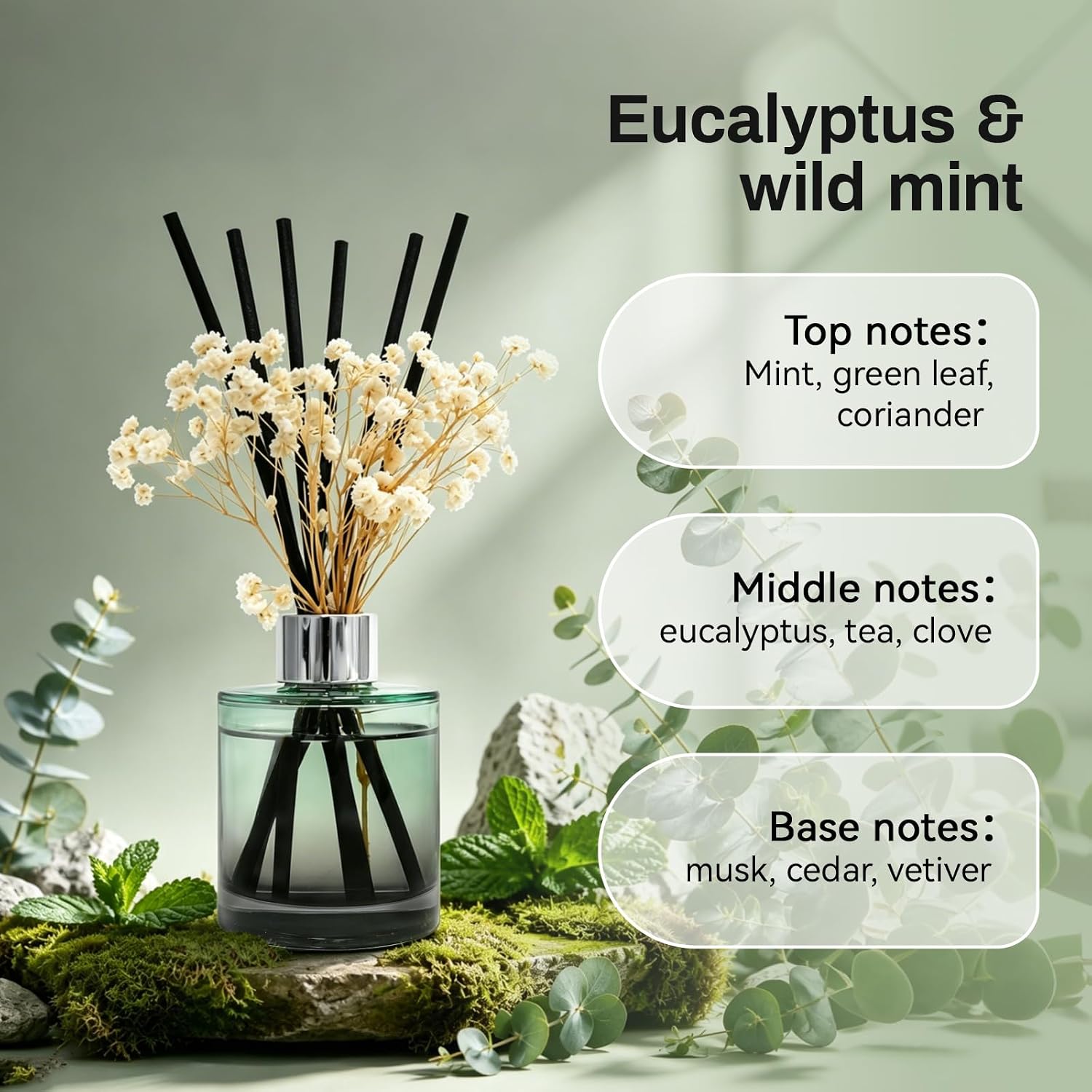 Aldernest Reed Diffuser Set, Eucalyptus & Wild Mint Scent, 4.06 fl oz, 15.2 ounces, Transparent Green