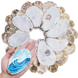 Ashenby 30PCS 4"-5" Flat Oyster Shells, Large Natural Oyster Shells for Crafts, 1.76 ounces