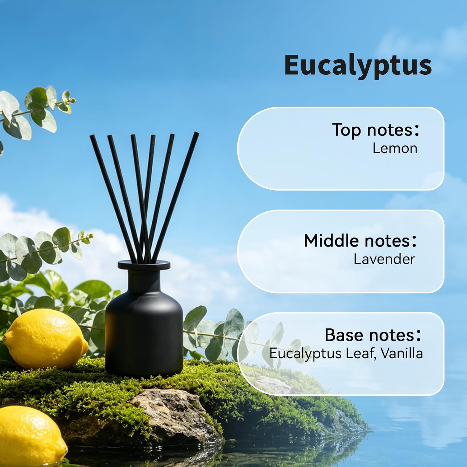 Aldernest Reed Diffuser Set, Eucalyptus Scent, 4.06 fl oz Essential Oils, 15.36 ounces, Matte Black