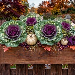 Ashenby 4 Pack 11.8″ Fall Faux Cabbage, Artificial Cabbage with Pot, Green Purple