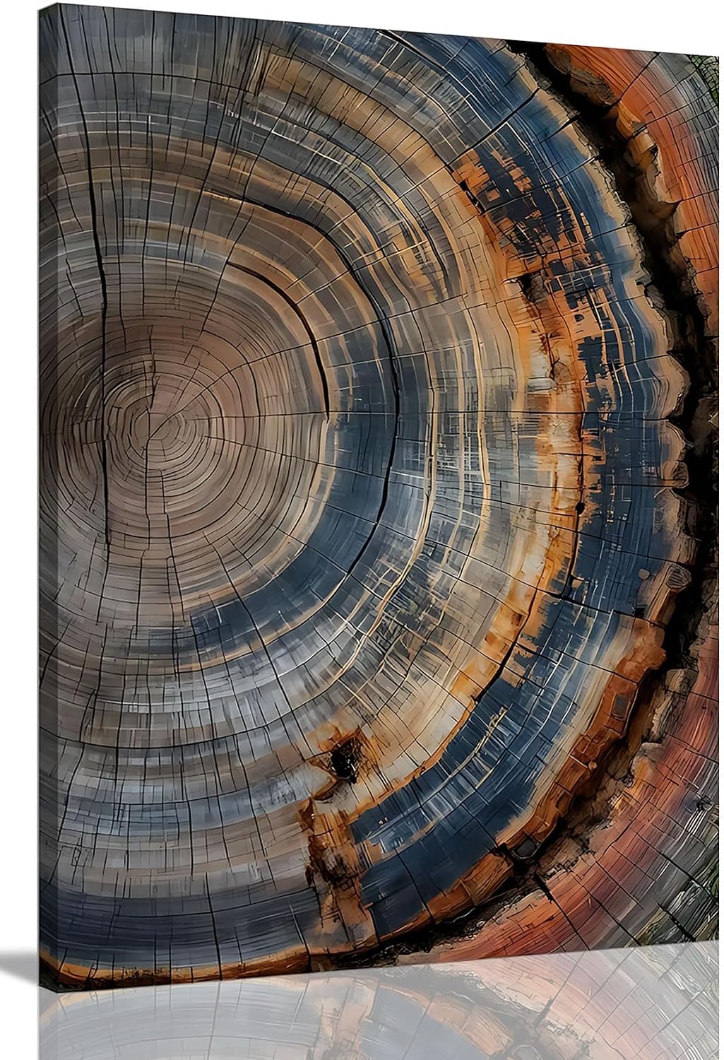Barleyfield Tree Ring Wall Art Canvas, Modern Nature Decor, Easy to Hang 12x16 Inch, 1.6 ounces, Brown tree ring