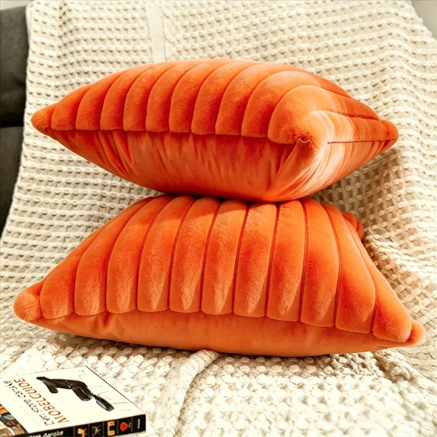 Aldernest 2 Pack 22x22 Pillow Cover Velvet Pillow Covers, Orange