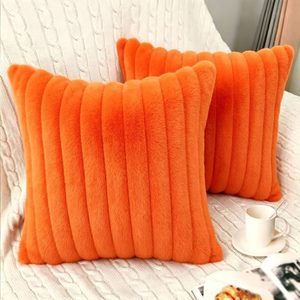 Aldernest 2 Pack 24x24 Pillow Cover Velvet Pillow Covers, Orange