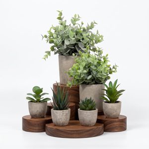Aldernest 6 Pack Fake Plants Succulents Eucalyptus Small Cement Pots Indoor Decor, 3.52 ounces, Green